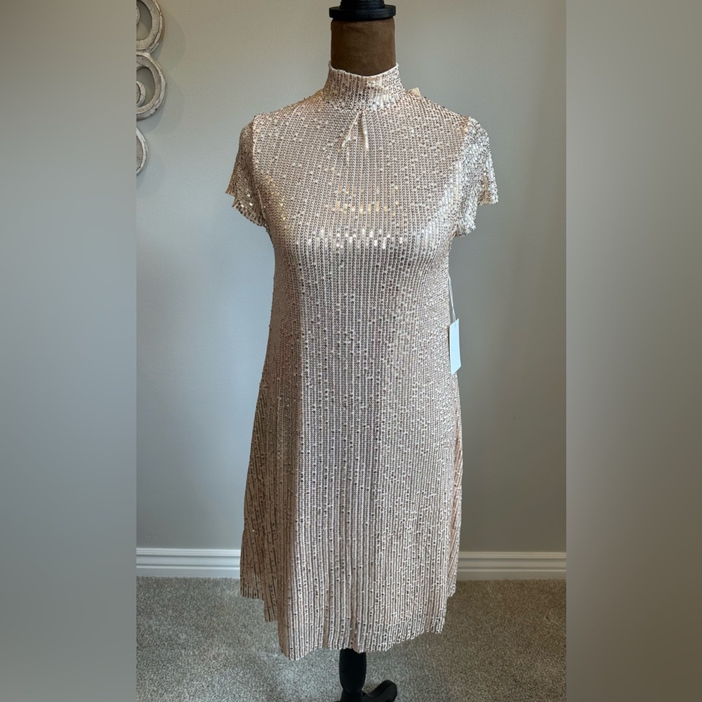 JOYFOLIE Mia Joy Michelle Dress In Champagne - Picture 6 of 16